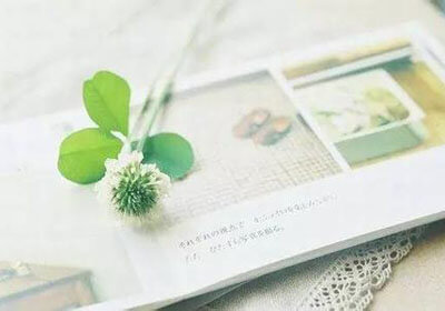 揭秘蘑菇短视频：从随手试试到深刻洞察